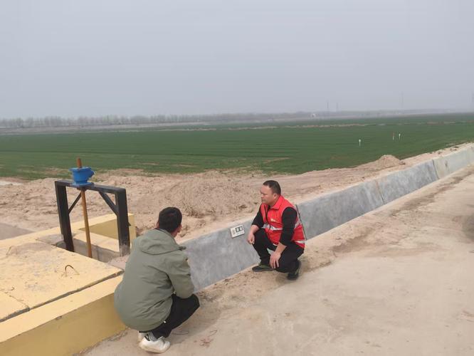 BHO電動(dòng)起子高效能工具為企業(yè)工作效率加分