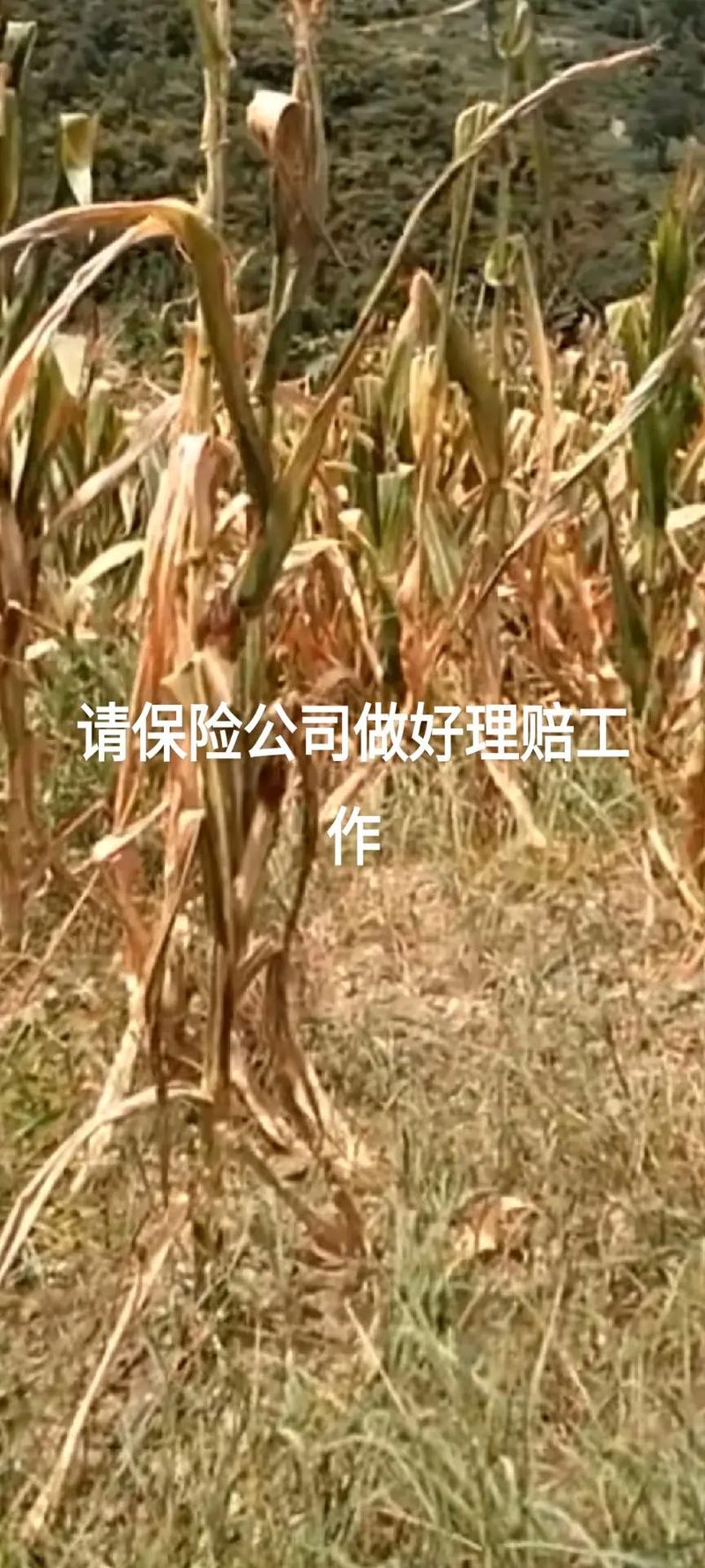 研磨材料在智能制造中的應用前景與發(fā)展趨勢