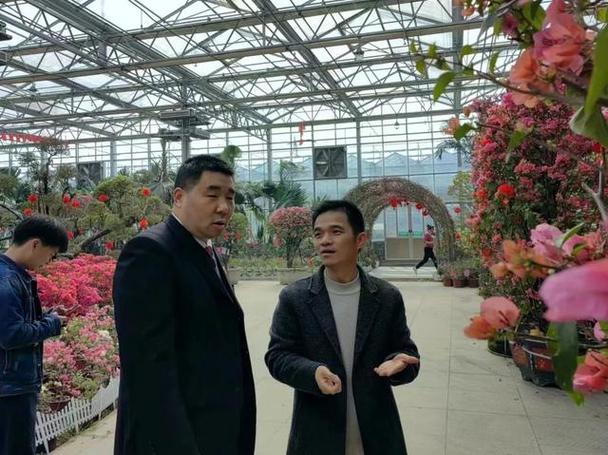 提升工作效率的秘訣 BHO電動起子高效能工具助力作業(yè)