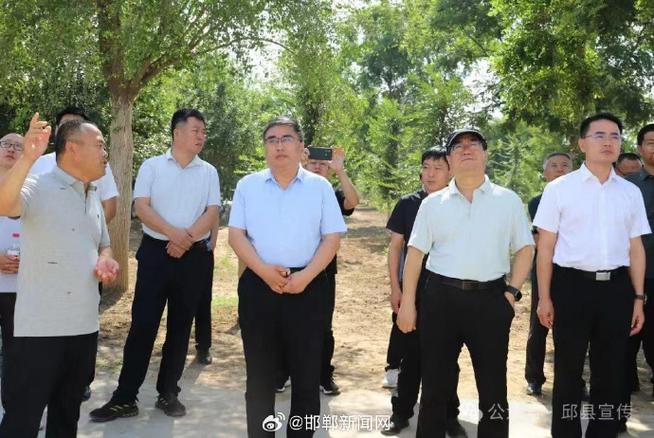 奇力速電動(dòng)起子助你輕松完成家里各種修理